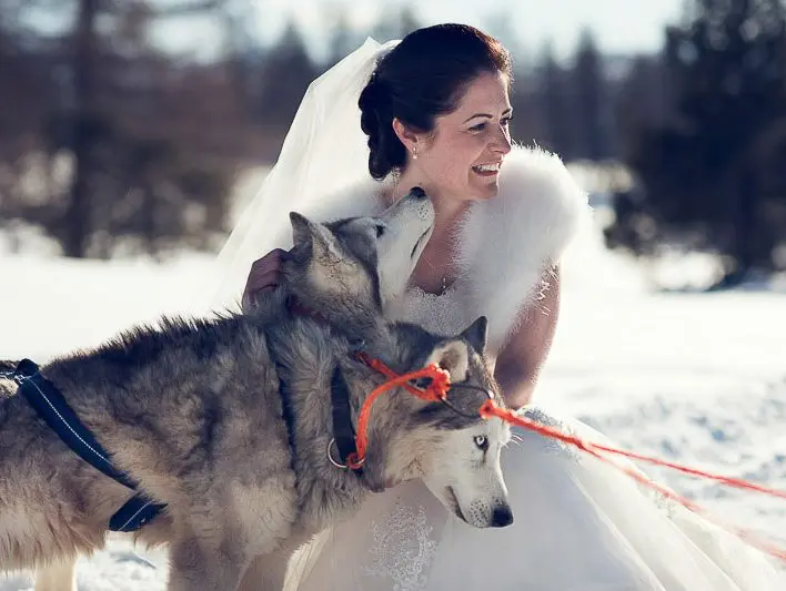 Destination wedding in Italian Alps -- Bormio thermal spa Sestriere Via Lattea Olympic slopes and alpine ceremony